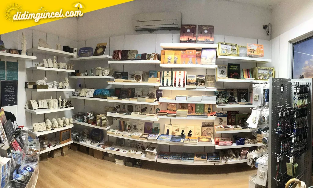 didim-apollon-tapinagi-1