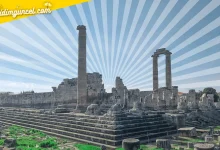 didim-apollon-tapinagi