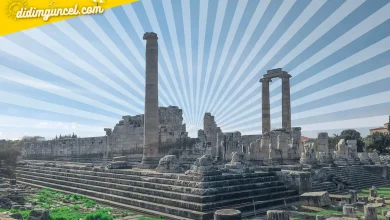 didim-apollon-tapinagi